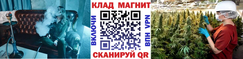 МЕФ Кировск