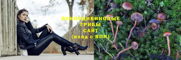 прущие крисы Новокубанск