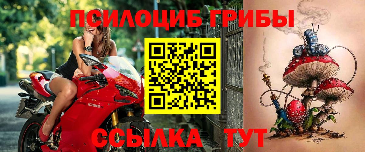 Галлюциногенные грибы мицелий Кировск